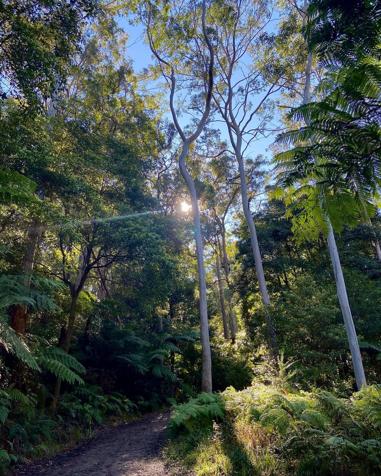 Trip Image